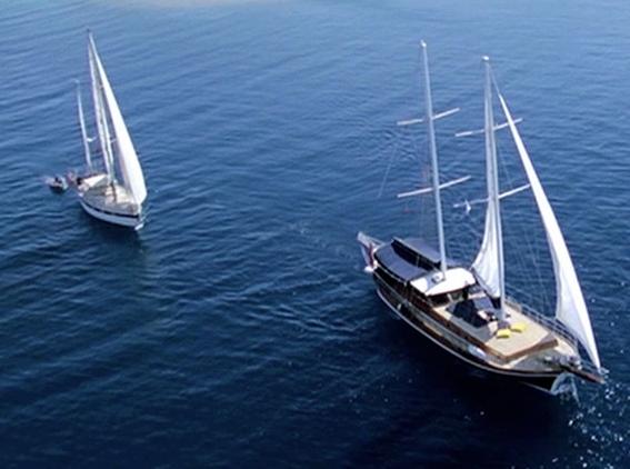 Red/Blue frames & Pan/Crop in Vegas Pro