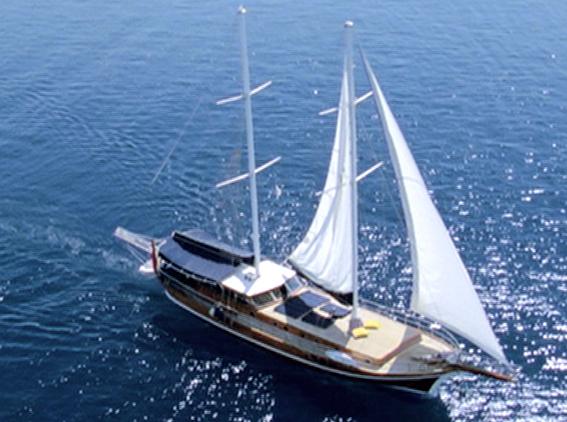 Twixtor in Avid MC: Progressive to Interlaced and Vice Versa