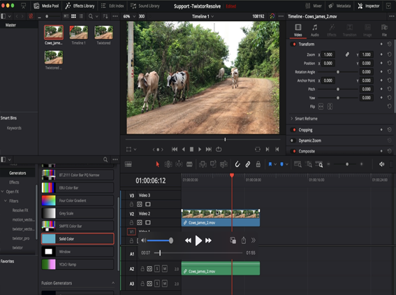 RE: Vision plugins in Resolve - Workarounds