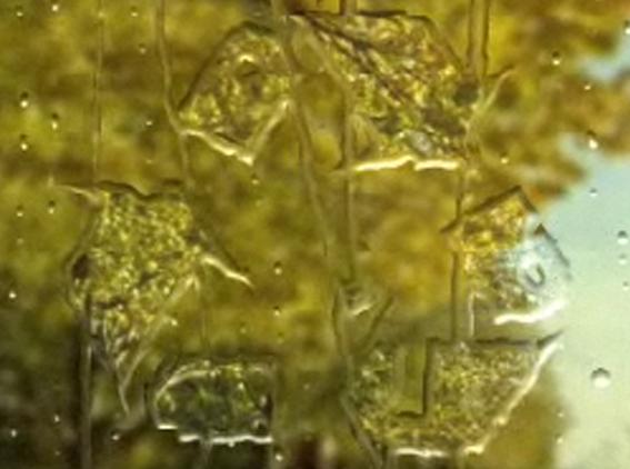 Shade/Shape - Rendering Realistic Water Droplets