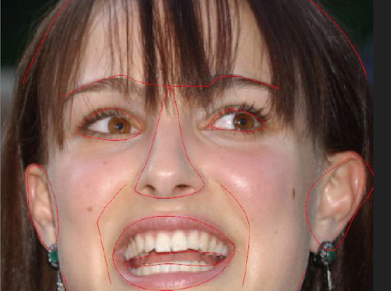 RE:Flex for Combustion